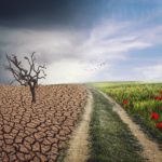 Abbraccia il cambiamento
